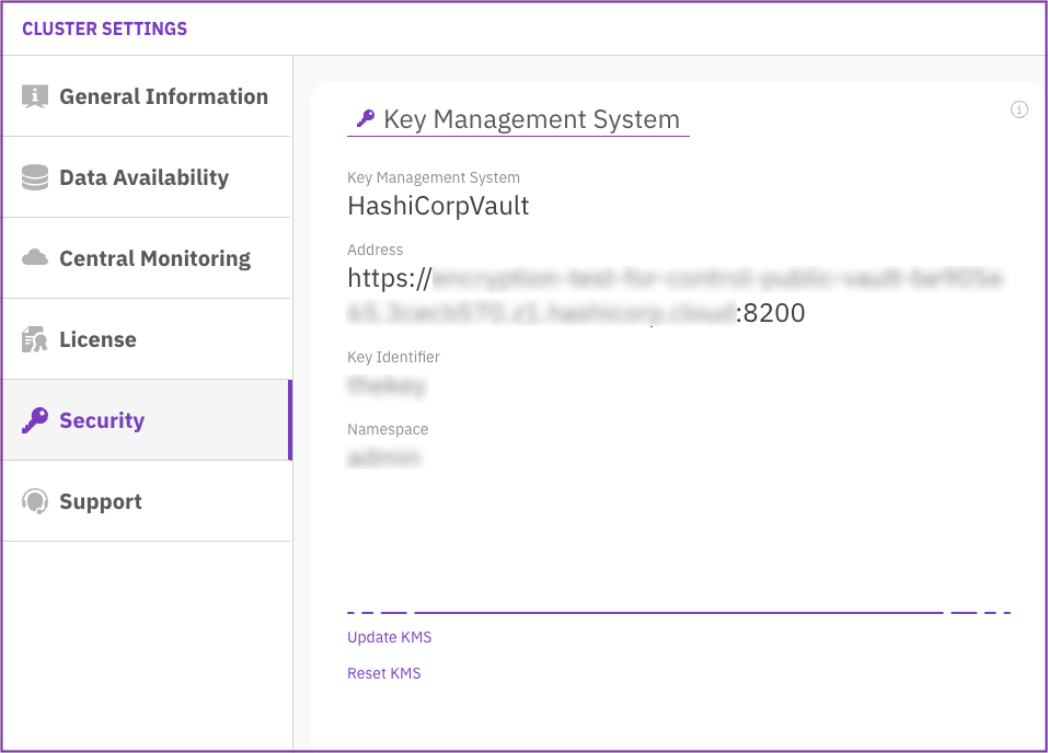 View the configured KMS